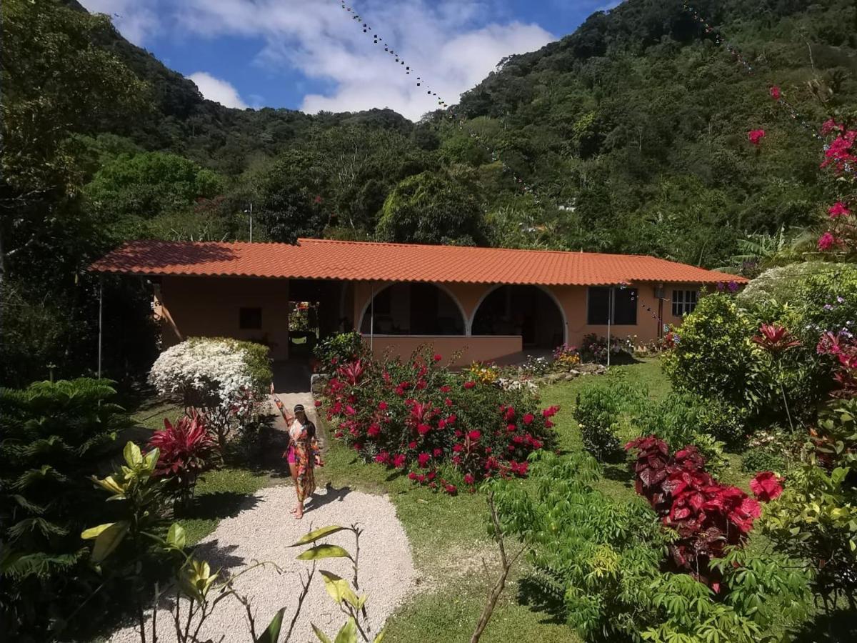 El Zumbito Apartment El Valle de Anton ห้อง รูปภาพ