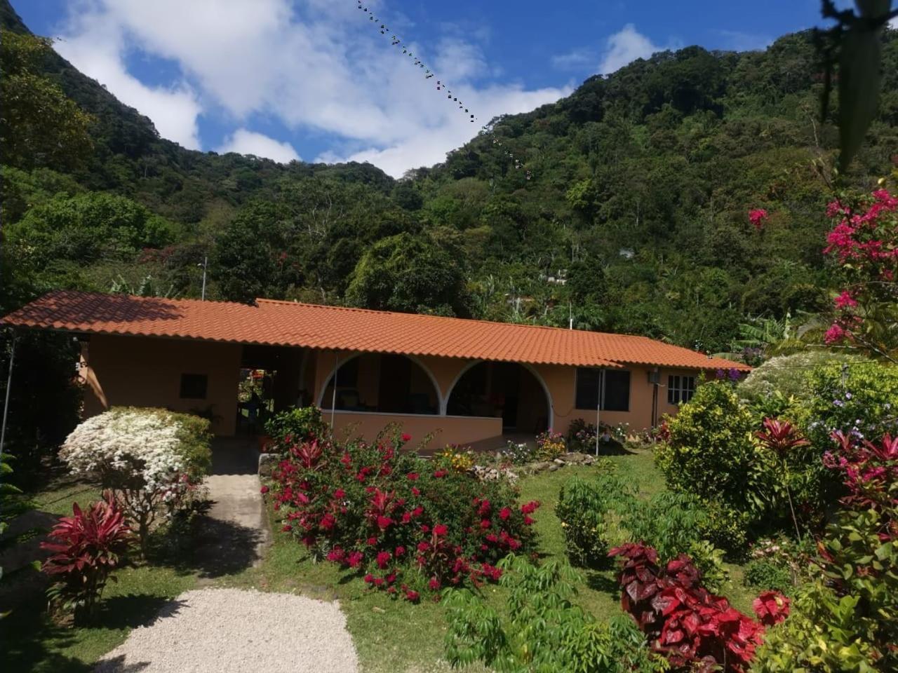 El Zumbito Apartment El Valle de Anton ห้อง รูปภาพ
